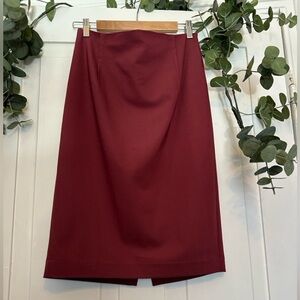 Express Pencil Skirt